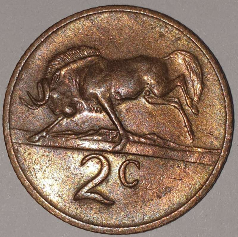1980 - 2 CENT COIN (TWO CENT COIN) - RSA - BRONZE - KM#83 - BILINGUAL LEGEND - WILDEBEEST